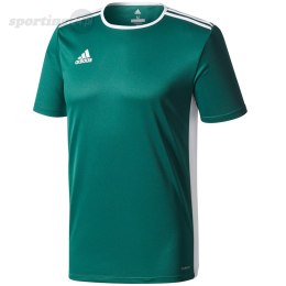 Koszulka dla dzieci adidas Entrada 18 Jersey JUNIOR zielona CD8358/CE9563 Adidas teamwear