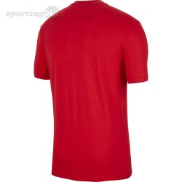 Koszulka dla dzieci Nike Polska TEE Evergreen Crest CU1212 611 Nike Football