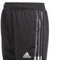 Spodnie dla dzieci adidas Tiro 21 Training Pant Slim Youth czarne GQ1242 Adidas teamwear