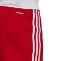 Spodenki męskie adidas czerwone Squadra 21 Shorts GN5771 Adidas teamwear